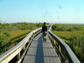 ../2008/06-by-nora/21-0725-fire_island.jpg