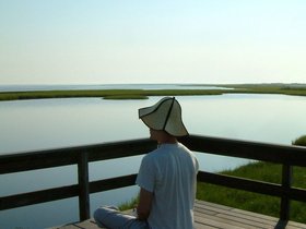../2008/06-by-nora/21-0739-fire_island_v1.jpg