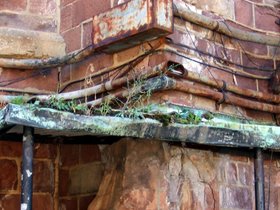 31-1156-governors_island-NY-overgrown-drain.jpg