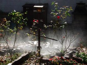 19-1123-brooklyn-NY-mist-garden.jpg