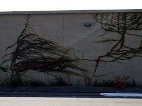 19-1142-brooklyn-NY-ivy.jpg