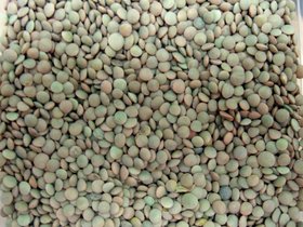 25-1311-lentils.jpg