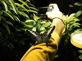../2008/12/07-1241-ny-amnh-NY-on-butterfly-arm.jpg