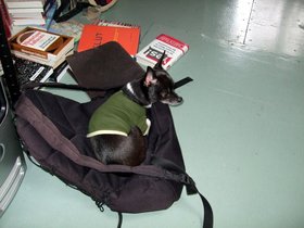 05-0810-brooklyn-NY-tina-bookbag.jpg