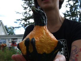 ../2009/10/04-1438-NYC-NY-ny-soons-apple-picking-nora-gourd.jpg