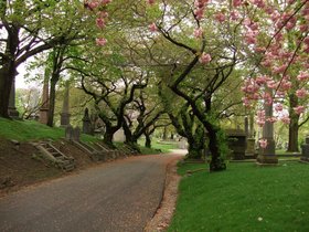 ../2010/04/17-1001-greenwood_cemetery-cemetery-path.jpg