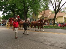 14-1335-holland-tulip-time-carriage.jpg