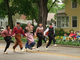 14-1354-holland-tulip-time-dance.jpg