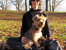 ../2011/11/26-1633-jamaica_bay-NY-pond-dog-nora-casper.jpg