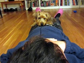 ../2011/12/12-2314-joseph-casper-dog.jpg