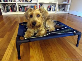 01-1420-casper-new-dog-blanket.jpg