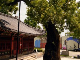 ../2012/07/29-1143-KOR-by_nora.jpg