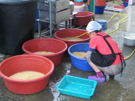 01-1857-korea-gangneung-chodang-soy_beans-tofu-sundubu.jpg