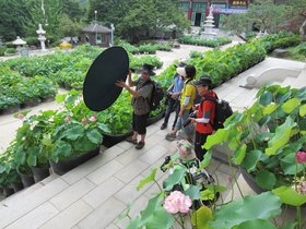 06-1451-korea-photographer-lotus-temple-seoul.jpg