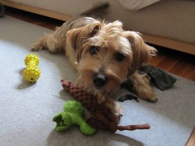 07-0840-casper-toy.jpg