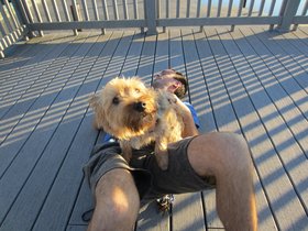 09-1813-dog-casper.jpg