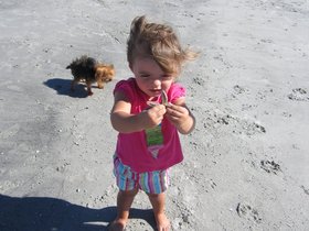 ../2012/09/23-1332-wingaersheek-MA-beach-violet-starfish.jpg