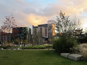 ../2012/10/20-2041-Manchester-GBR-garden.jpg