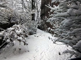 ../2013/01/16-0952-snow.jpg