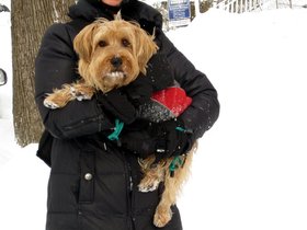 ../2013/02/09-1326-casper-nora-dog-snow.jpg