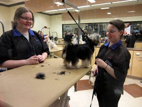 23-1635-pets.jpg