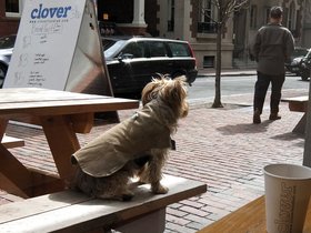 ../2013/03/16-1243-dog-casper.jpg