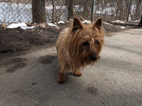 23-1227-maggie.jpg