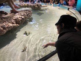 14-1017-aquarium.jpg