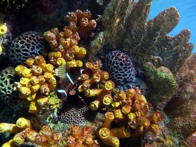 14-1047-aquarium.jpg