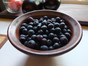 12-0643-food.jpg