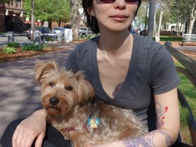 ../2014/05/11-1728-mem_drive-MA-casper-nora-dog.jpg