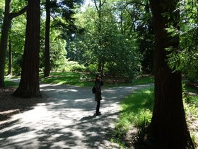 ../2014/05/26-1532-seattle-WA-nora-park.jpg