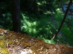 ../2014/05/26-1532-seattle-WA-park.jpg