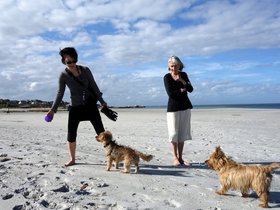 ../2014/10/15-1550-beach-casper-wingaersheek-MA-monika-dog-maggie-nora.jpg