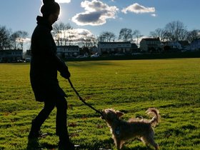 ../2014/12/25-1543-baltimore-MD-casper-nora-dog.jpg