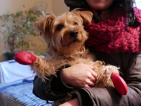 ../2015/02/25-1546-casper-nora-dog.jpg