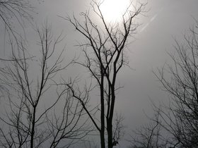 07-1527-sun-snow.jpg