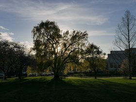 01-1859-library-sunset.jpg