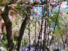 02-1344-flower.jpg