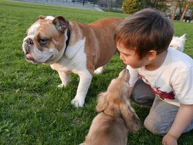 04-1906-dog-kid-alvar.jpg