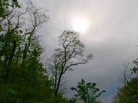 16-1649-fresh_pond-MA.jpg