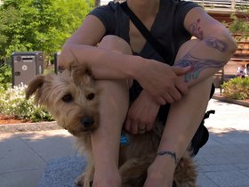 24-1416-casper-nora-dog.jpg
