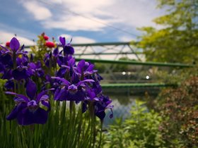05-1014-shelburne-MA.jpg