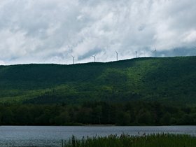 06-0819-plant-mauserts_pond-MA.jpg