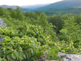 06-2120-casper-vs-mountain.mp4