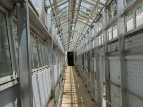 07-1117-northampton-MA-plant.jpg