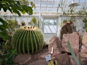 07-1119-northampton-MA-plant.jpg