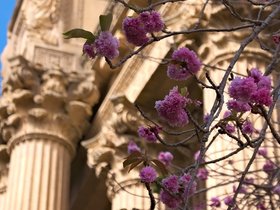 17-1628-art-palace-san_francisco-CA.jpg