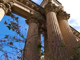 17-1631-art-palace-san_francisco-CA.jpg