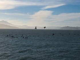 19-1926-san_francisco-CA.jpg